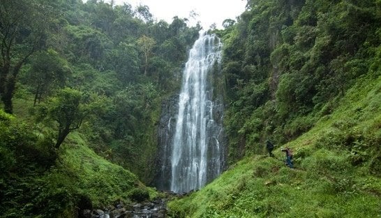 Materuni Waterfal & Coffee plantation